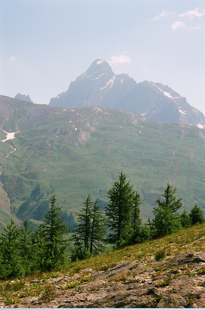 MonViso